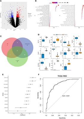 Establish of an Initial Platinum-Resistance Predictor in High-Grade Serous Ovarian Cancer Patients Regardless of Homologous Recombination Deficiency Status